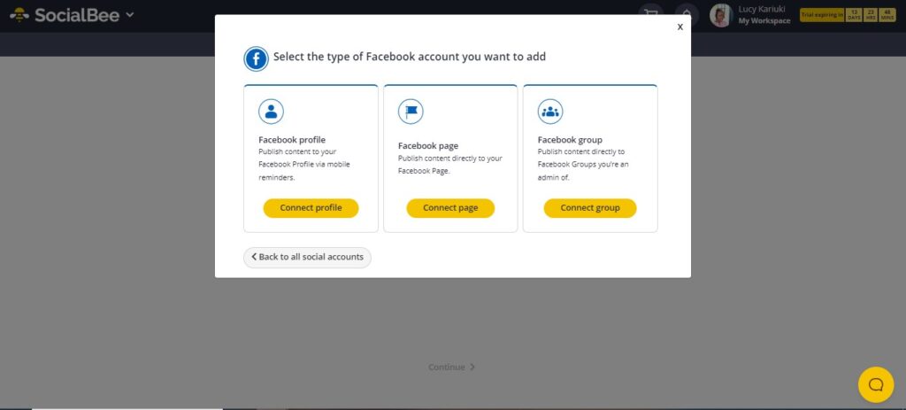 SocialBee Facebook Option {Screenshot}