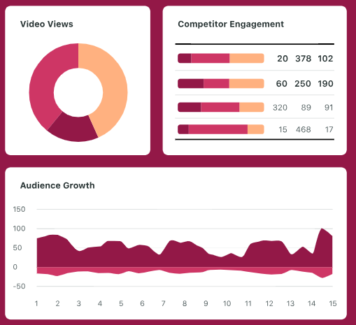 Screenshot of Sproutsocial analytics
