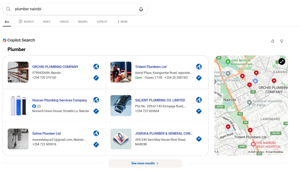 Screenshot of Search Results Showing Businesses Listed in Google Business Profile