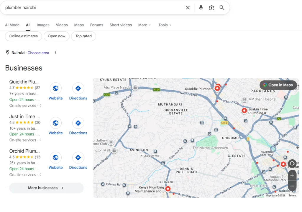Screenshot of Search Results Showing Businesses Listed in Google Business Profile