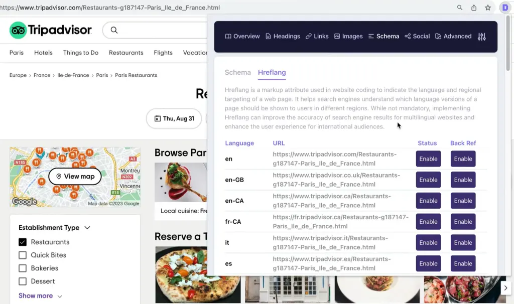 Screenshot of the Detailed SEO Extension
